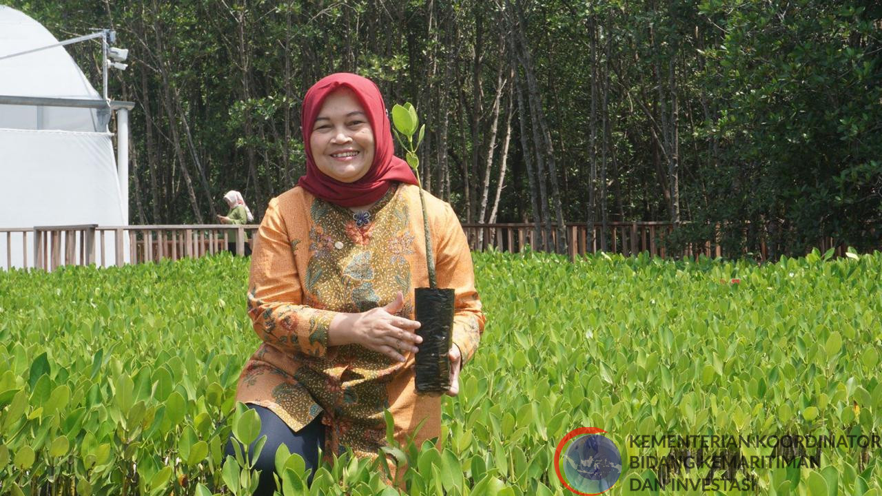 Kemenko Marves Perluas Kerja Sama Mangrove dengan BUMN/ Swasta