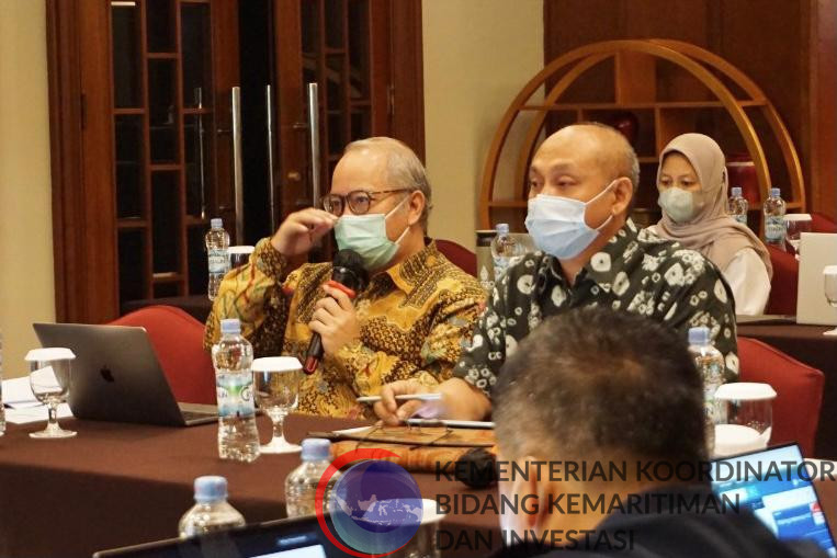 Maksimalkan Kerja Sama Negara-Negara Berkembang, Kemenko Marves Bentuk Gugus Tugas Nasional