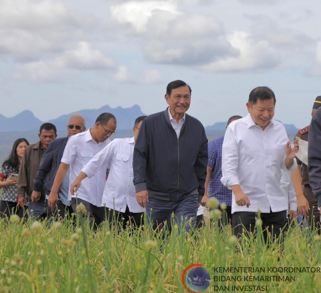 Kunjungi Food Estate Humbang Hasundutan, Menko Luhut Cek Perkembangannya