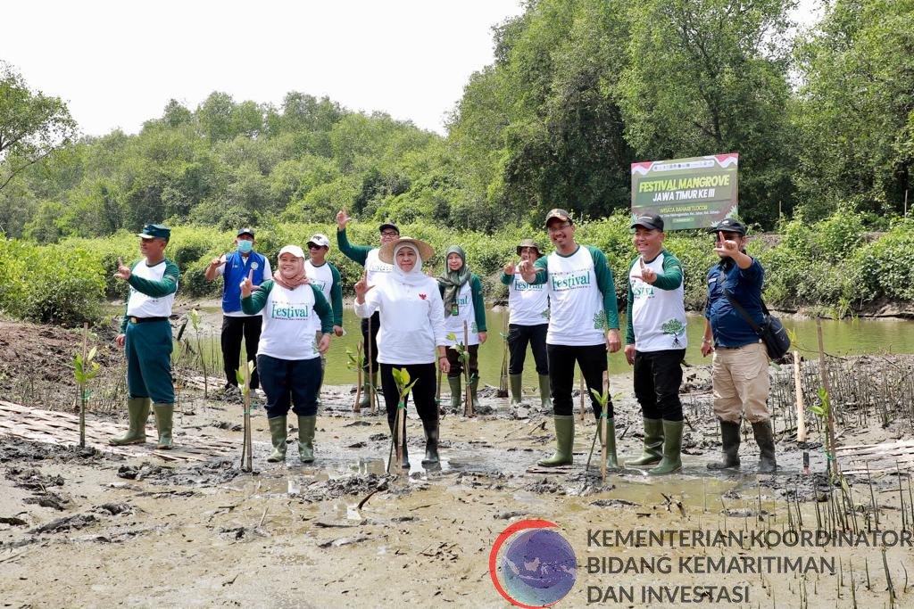 Perkuat Program Rehabilitas Mangrove, Kemenko Marves Ikuti Festival Mangrove Sidoarjo