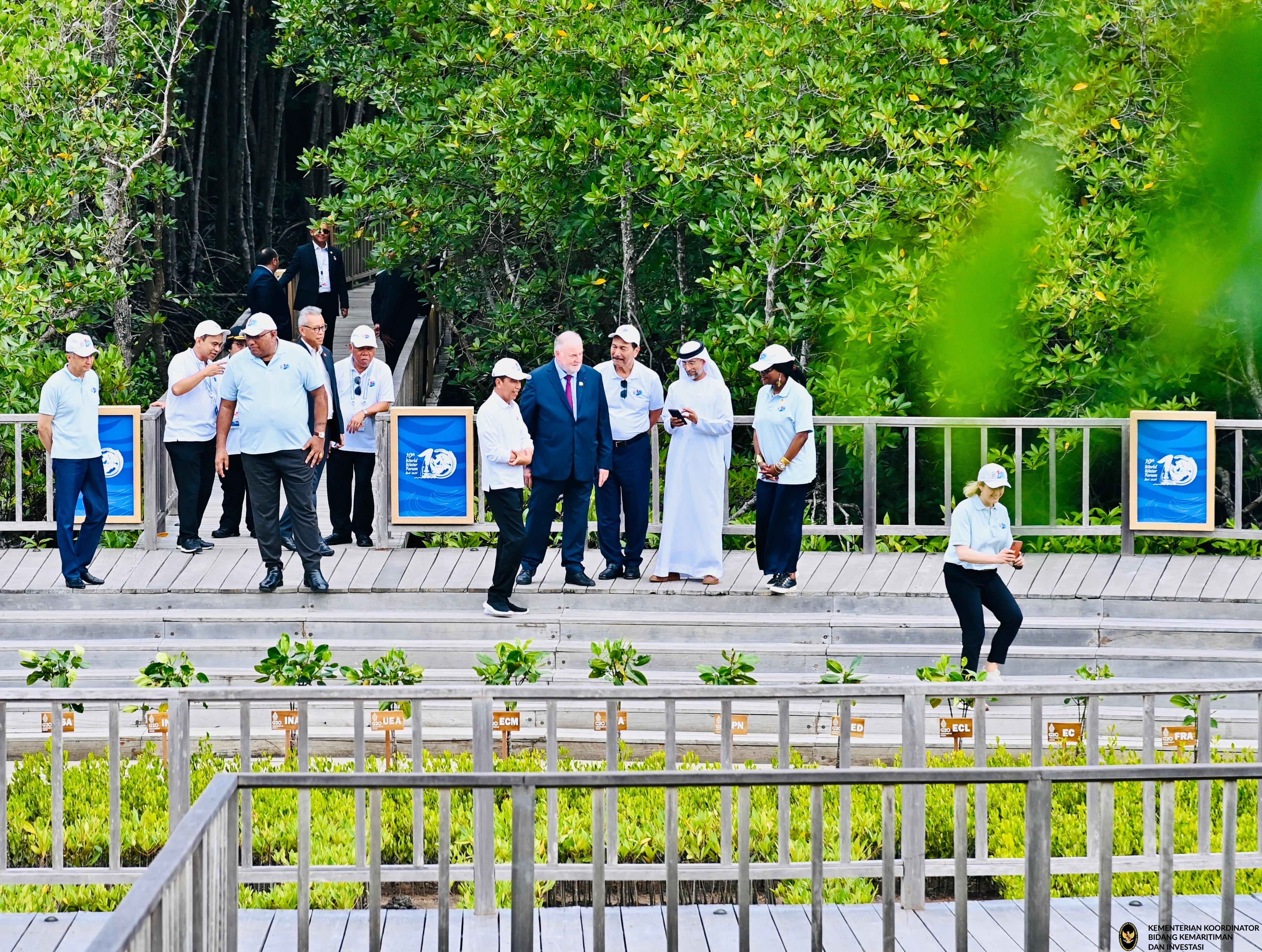 Tahura Mangrove Ngurah Rai, Keberhasilan Restorasi Berkelanjutan Indonesia