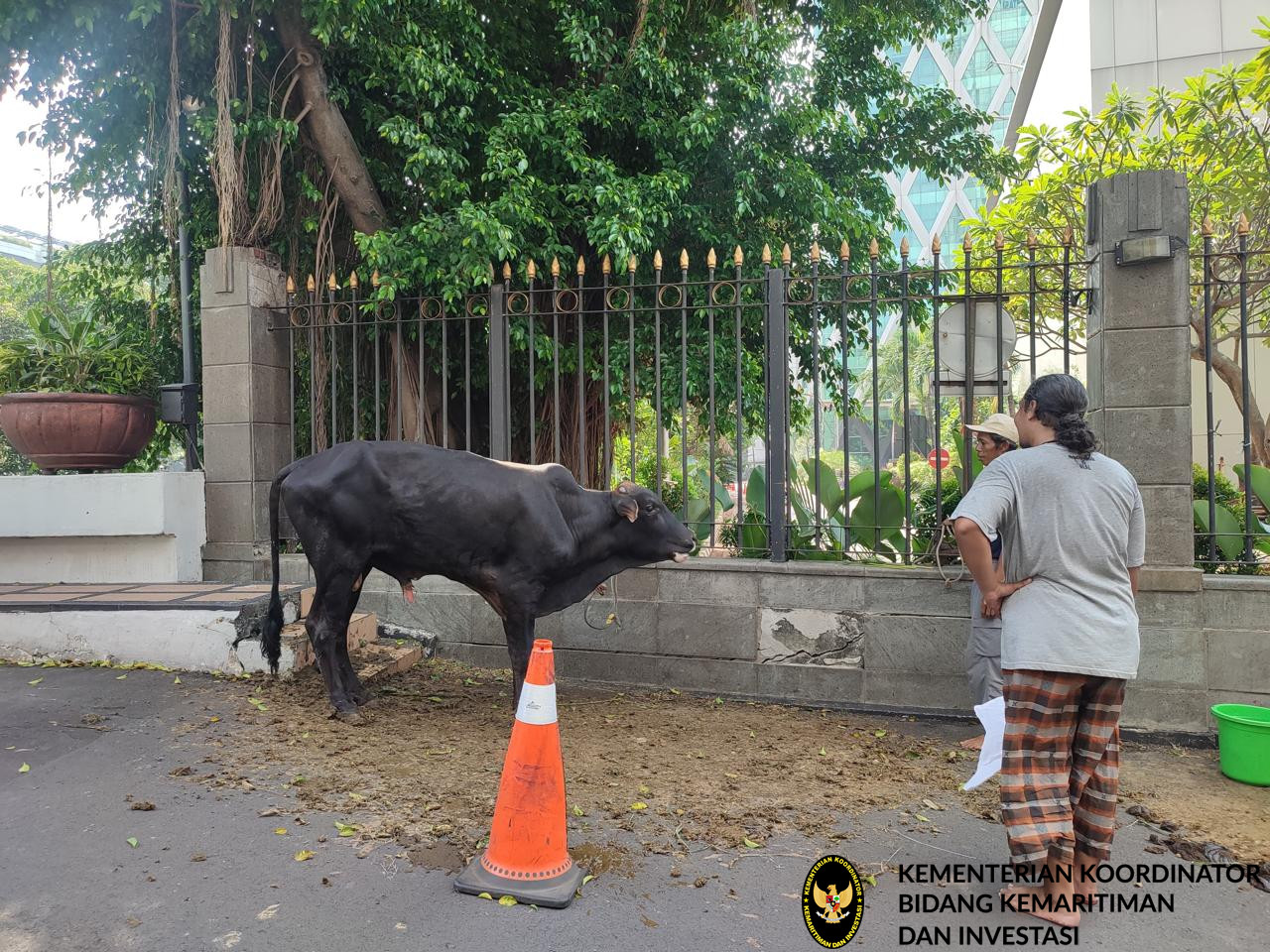 Kemenko Marves dan Mitra Sambut Idul Adha dengan Berkurban