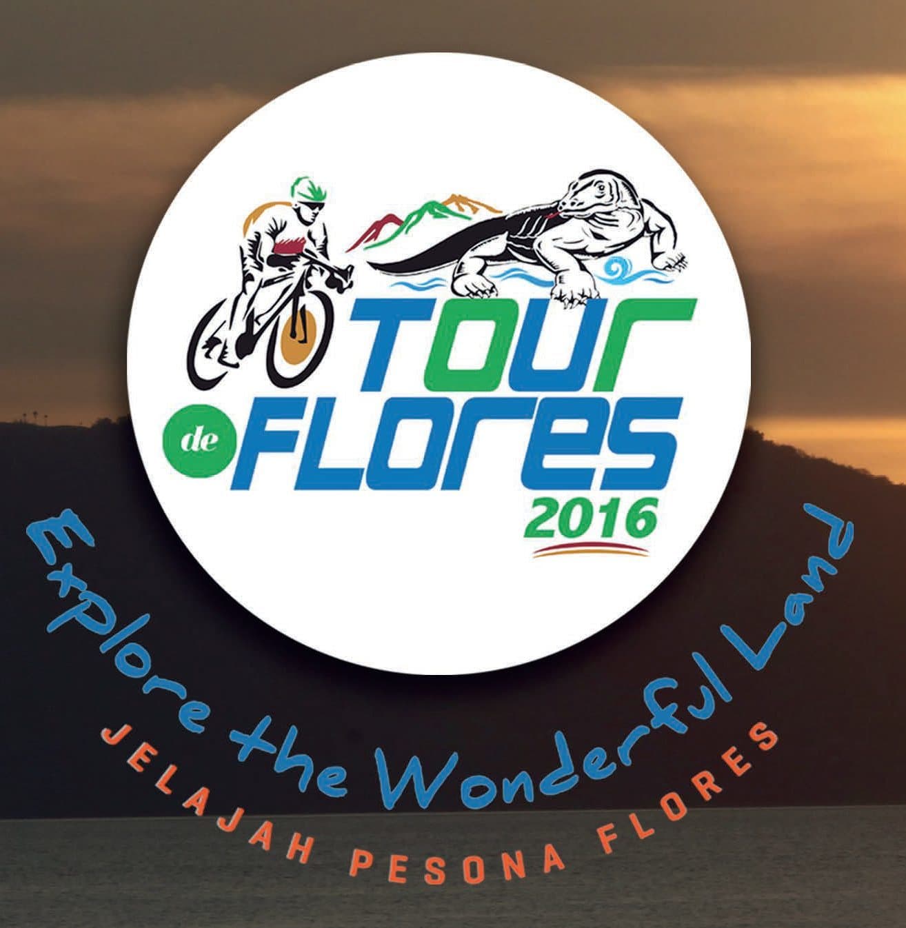 logo TDF