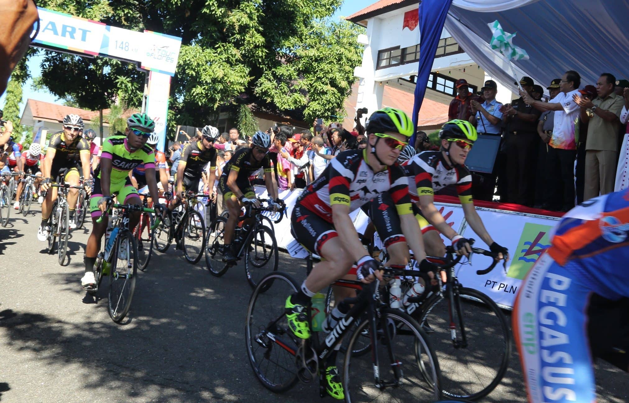 tdf13