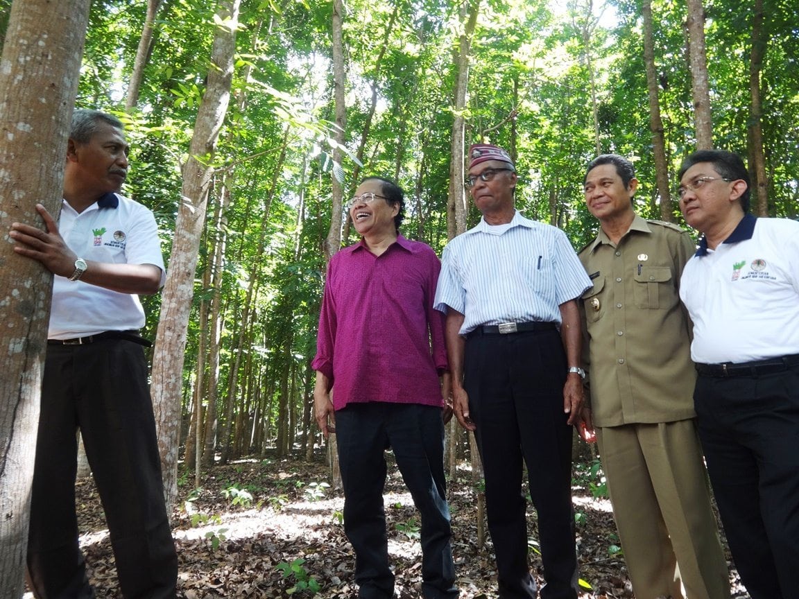 Sambangi Hutan Rakyat Labuan Bajo Sambangi Hutan Rakyat Labuan Bajo