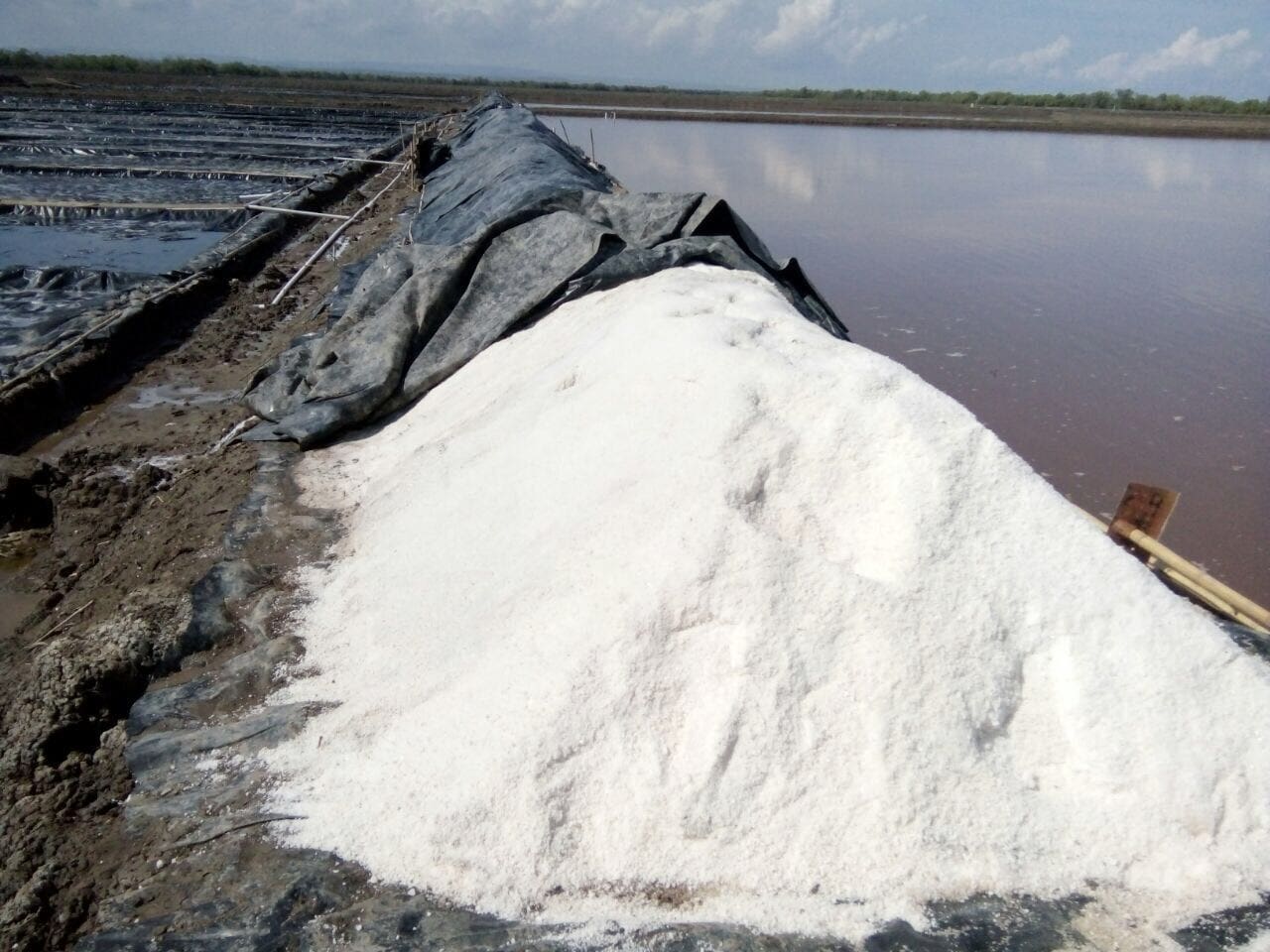image1 (5)