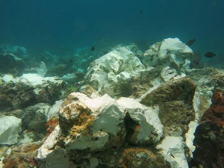 Terumbu Karang Raja Ampat Bakamla