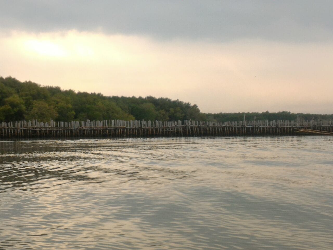 Jaga Kelestarian Kawasan Pesisir, Pemerintah Gandeng Pihak Swasta Tanami Mangrove Jaga Kelestarian Kawasan Pesisir, Pemerintah Gandeng Pihak Swasta Tanami Mangrove