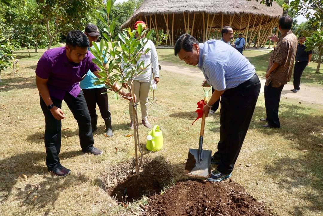 Kunjungi Three Mountain Bali, Menko Luhut Tanam Bibit Tanaman Juwet Hingga Lepas Penyu