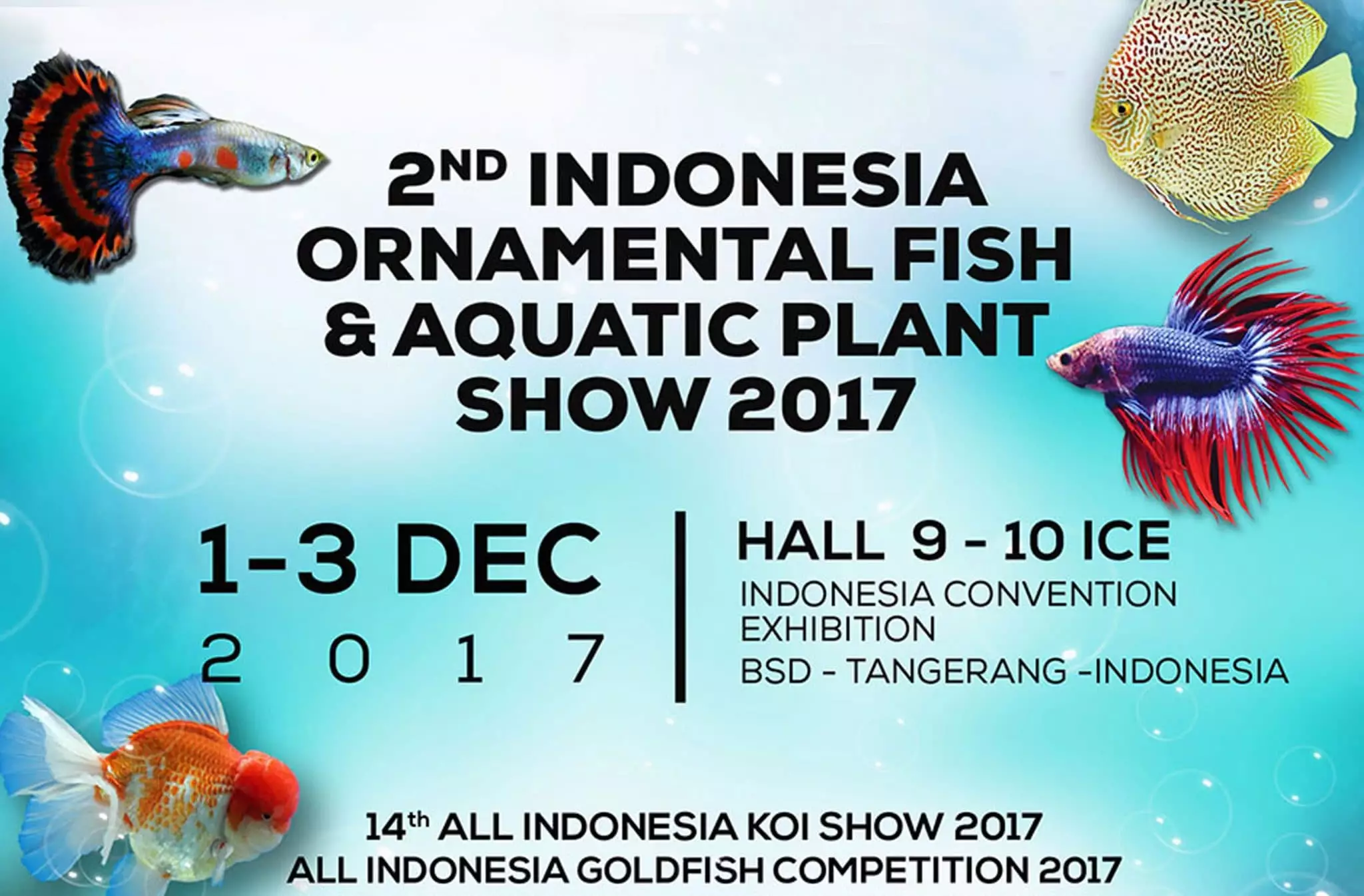 Nusatic 2017 Siap Digelar 1-3 Desember Mendatang Nusatic 2017 Siap Digelar 1-3 Desember Mendatang