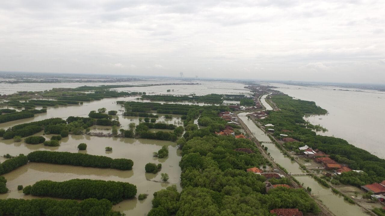 Kemenko Maritim Siapkan Solusi Masalah Abrasi Kabupaten Demak