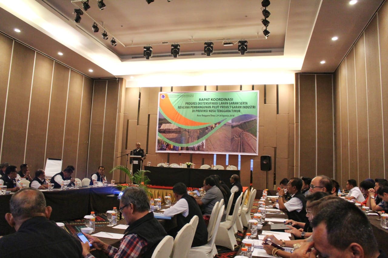 Kemenko Maritim Optimis NTT Berpotensi Besar Dalam Mendukung Swasembada Garam 2020 Kemenko Maritim Optimis NTT Berpotensi Besar Dalam Mendukung Swasembada Garam 2020