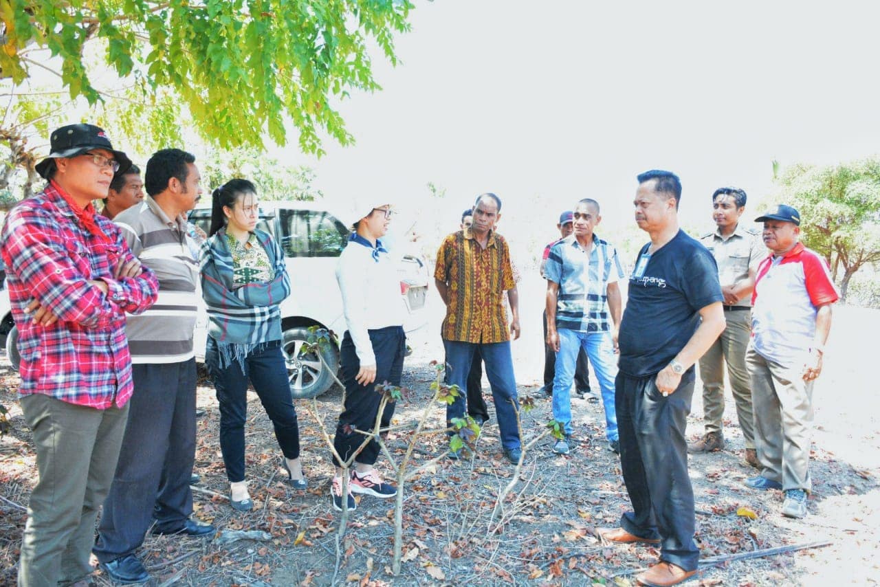 Tinjauan Lahan Garam Ke Timor Tengah Utara dan Malaka, NTT