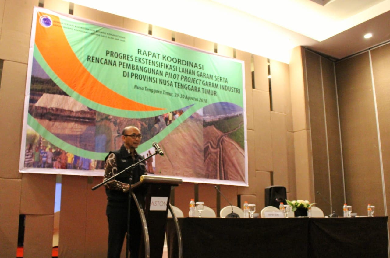 Kemenko Maritim Laksanakan Rapat Koordinasi Ekstentifikasi Lahan Garam di Provinsi Nusa Tenggara Timur
