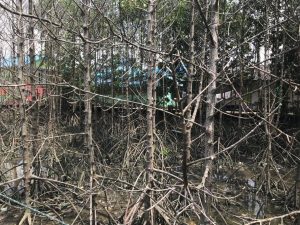 IMG-20181123-WA0094