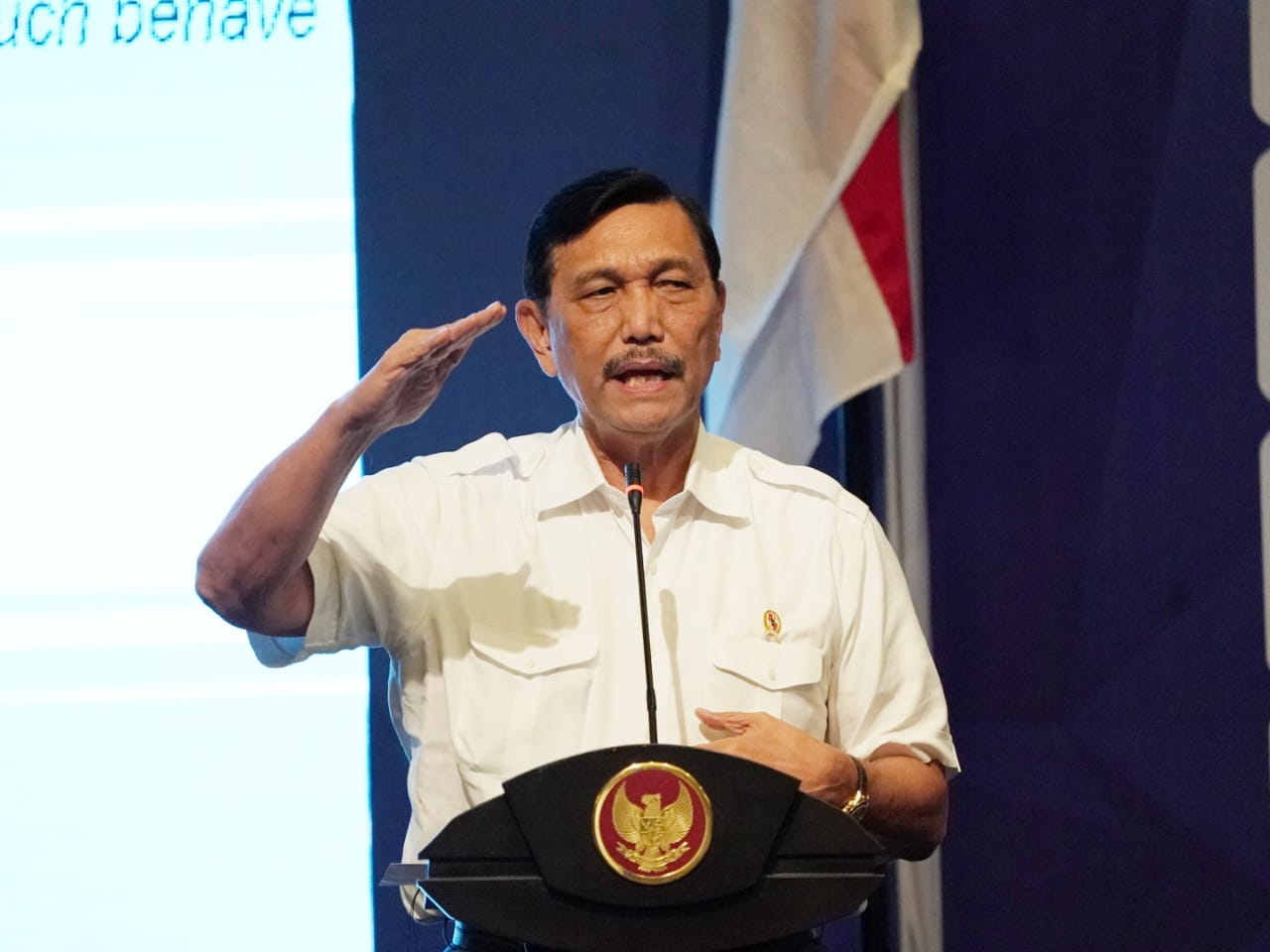 Menko Luhut Menjadi Narasumber Seminar Nasional Pengembangan UMKM dan Workshop Menembus Pasar Digital