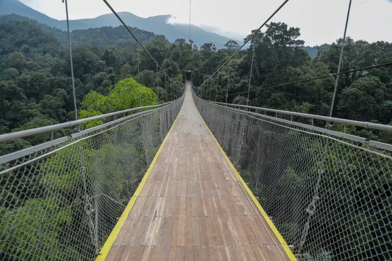 Menko Luhut Resmikan Jembatan Gantung Terpanjang Se-Asia Tenggara Menko Luhut Resmikan Jembatan Gantung Terpanjang Se-Asia Tenggara