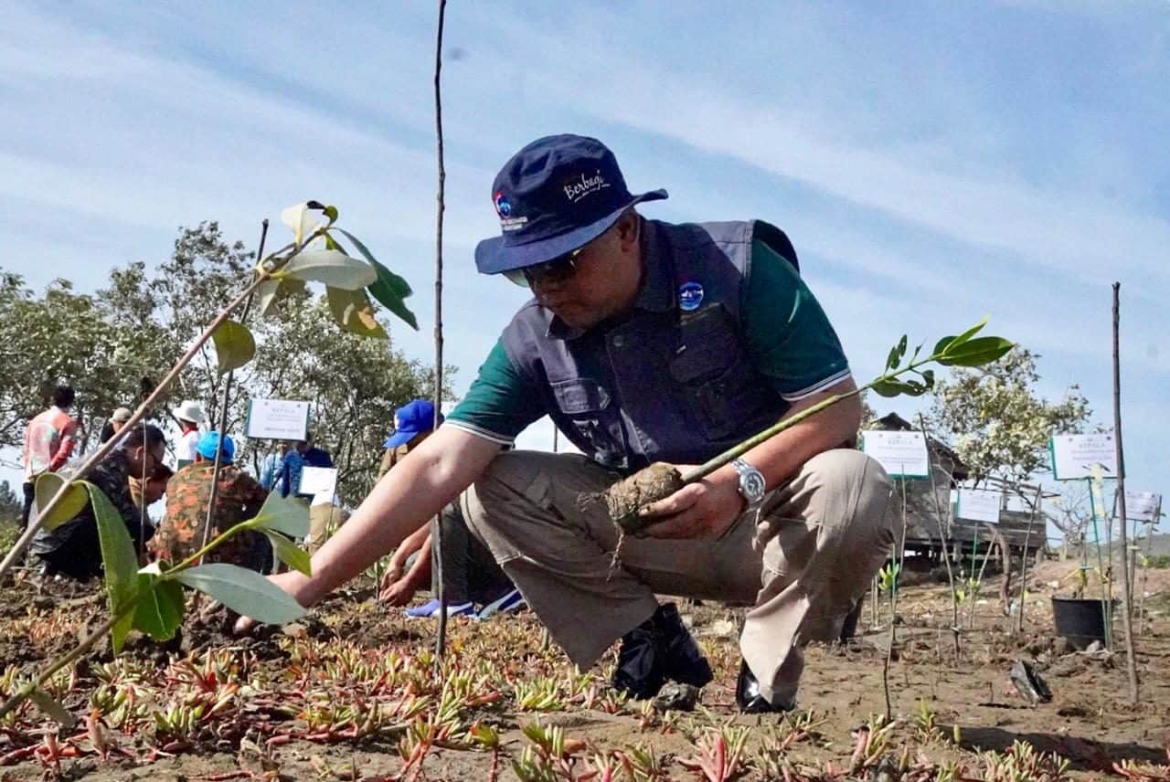 Kemenko Maritim Tanam 100 Mangrove di Aceh Kemenko Maritim Tanam 100 Mangrove Di Aceh