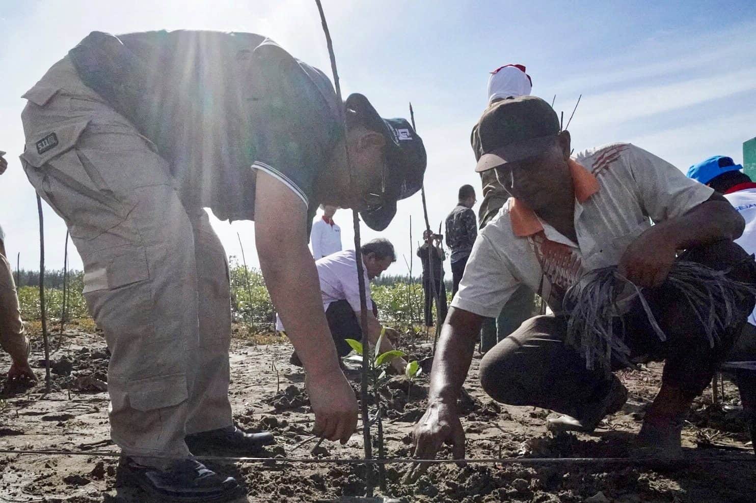 Berkunjung ke Aceh, Deputi Agung Tanam 100 Mangrove Berkunjung Ke Aceh, Deputi Agung Tanam 100 Mangrove