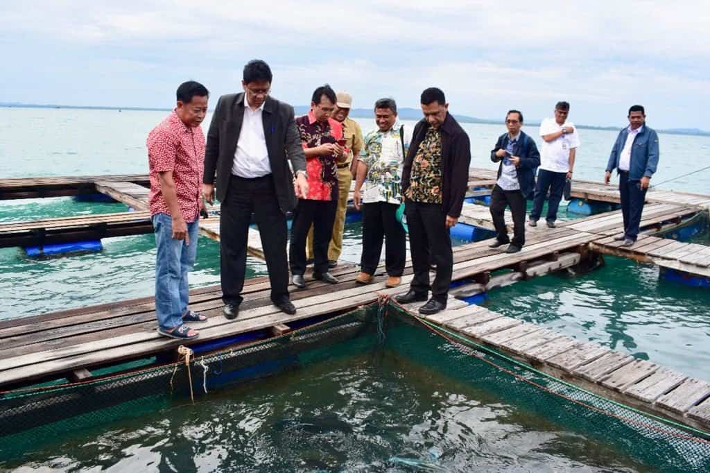 Kemenko Bidang Kemaritiman Mengunjungi Kabupaten Natuna Untuk Melakukan Identifikasi Permasalahan Kemenko Bidang Kemaritiman Mengunjungi Kabupaten Natuna Untuk Melakukan Identifikasi Permasalahan