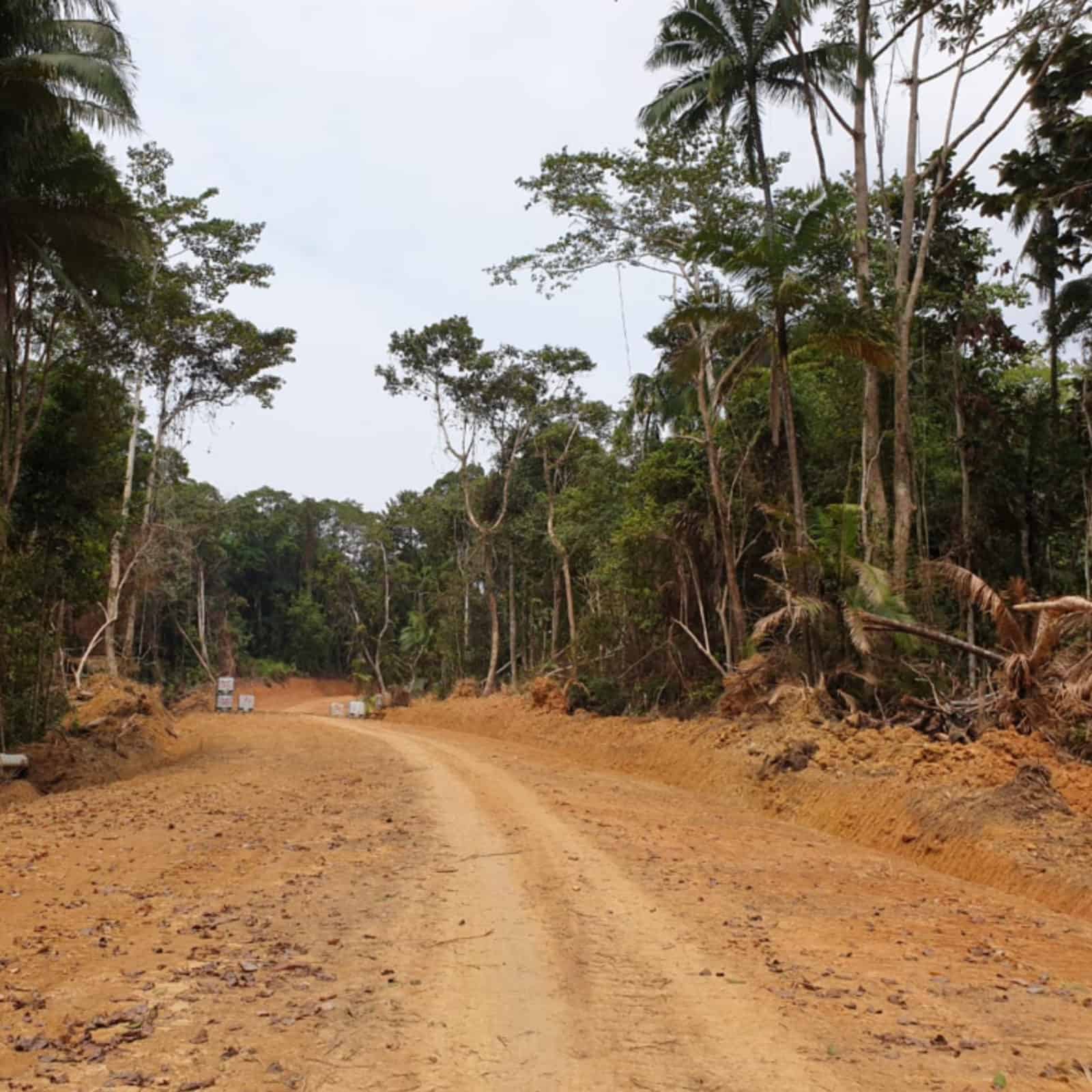 Kemenko Marves Tinjau Percepatan Pembangunan di Kepulauan Mentawai Auto Draft