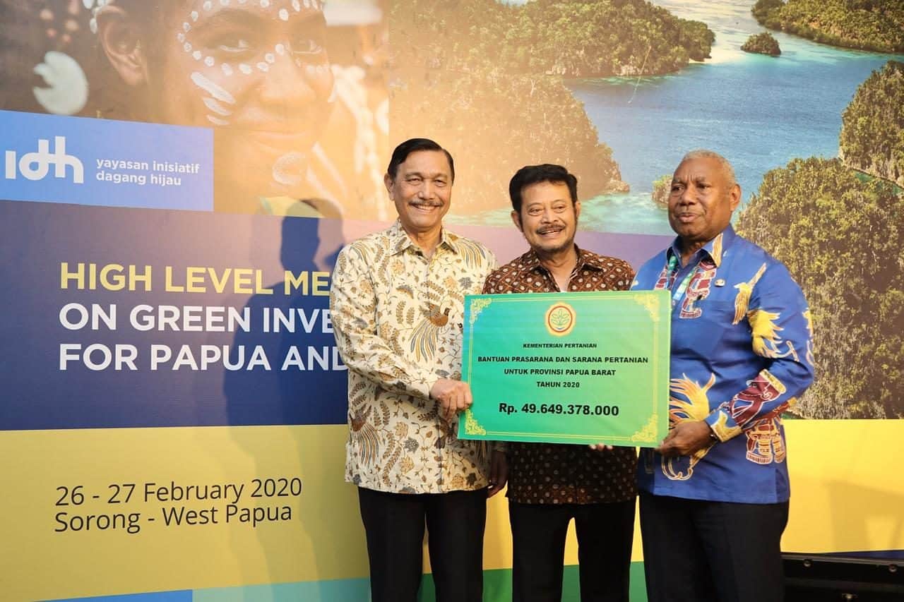Menko Luhut Luncurkan Konsep Investasi Hijau untuk Papua dan Papua Barat