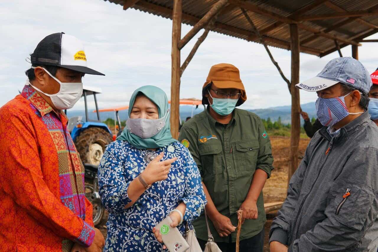 Tim Terpadu Meninjau Lapangan, Menyiapkan Rencana Pengembangan Kawasan FE Sumatra Utara Pemerintah Rencanakan 61.000 Ha Lahan di Sumut Jadi Kawasan Food Estate