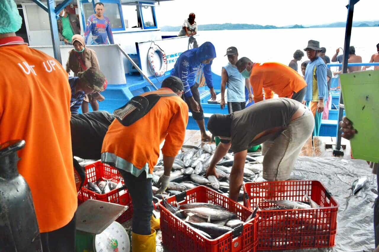 Upaya Pemerintah Tingkatkan Produksi Kelautan dan Perikanan di Maluku Utara