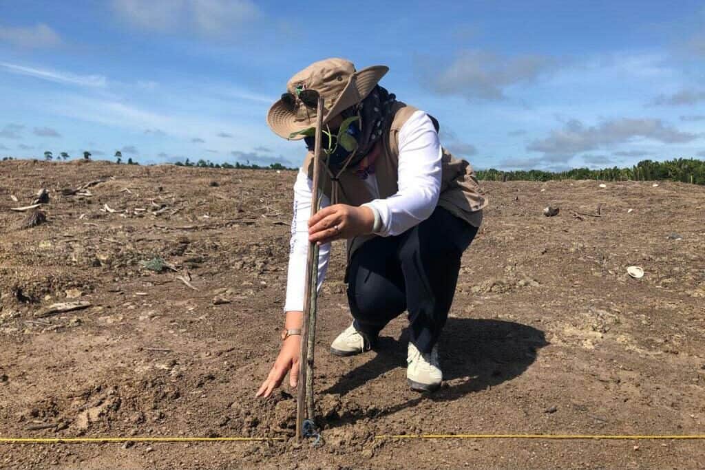 Pemerintah Lakukan Tinjauan Lapangan ke Tarakan Untuk Memonitor Hasil Rehabilitasi Mangrove Pemerintah Lakukan Tinjauan Lapangan ke Tarakan Untuk Memonitor Hasil Rehabilitasi Mangrove