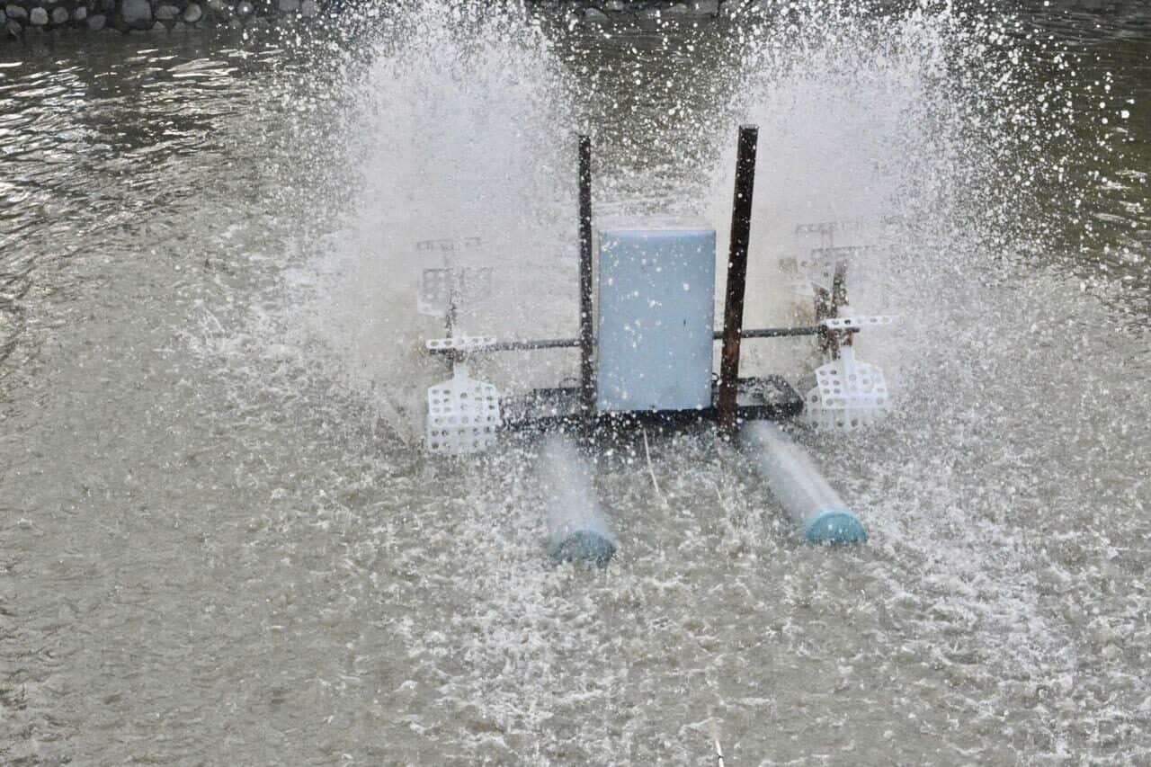 Dukung Produksi Udang Nasional 2024, Kemenko Marves Tinjau Riset Kincir dan Pompa Air di Jatim Dukung Produksi Udang Nasional 2024, Kemenko Marves Tinjau Riset Kincir dan Pompa Air di Jatim