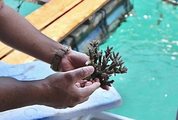 Dukung PEN-ICRG Bali, Kemenko Marves Kerja Sama dengan Lembaga Riset MTCRC Korea-Indonesia Dukung PEN-ICRG Bali, Kemenko Marves Kerja Sama dengan Lembaga Riset MTCRC Korea-Indonesia