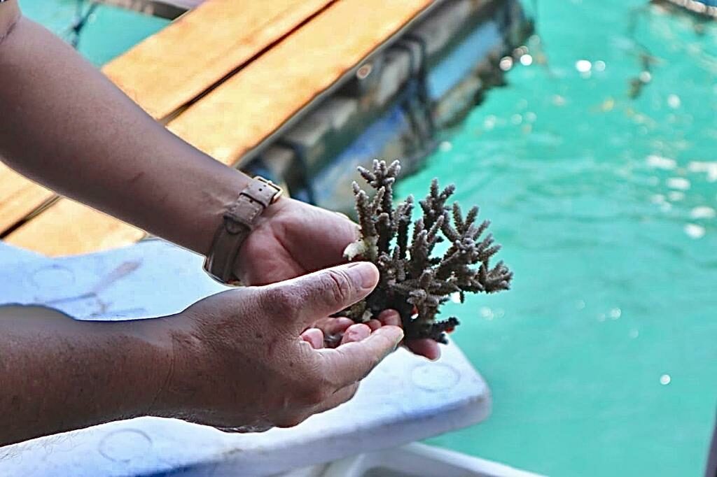 Dukung PEN-ICRG Bali, Kemenko Marves Kerja Sama dengan Lembaga Riset MTCRC Korea-Indonesia Dukung PEN-ICRG Bali, Kemenko Marves Kerja Sama dengan Lembaga Riset MTCRC Korea-Indonesia