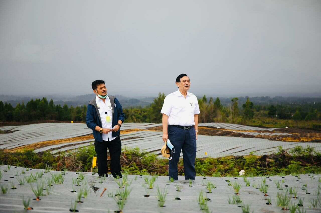 Menko Luhut: Kita Siap Kembangkan Food Estate Sumatera Utara Empat Tahun Ke Depan Menko Luhut: Kita Siap Kembangkan Food Estate Sumatera Utara Empat Tahun Ke Depan