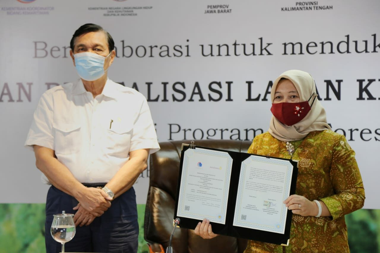 Dukung Tercapainya Lingkungan yang Sehat, Pemerintah dan Swasta Kolaborasi Menanam 20 Juta Pohon di Citarum dan Tanjung Puting Konsep Otomatis