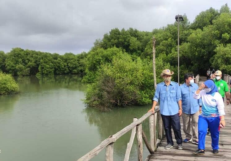Presentasi Pengelolaan Kawasan Mangrove Destinasi Wisata