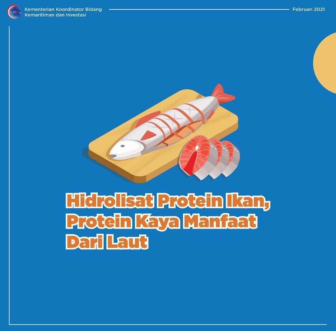 Protein Kaya Manfaat dari Laut Konsep Otomatis