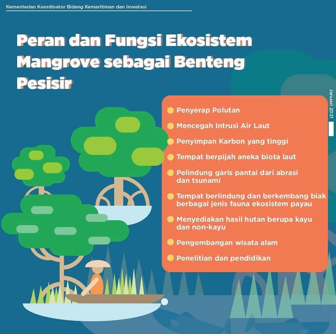 Peran dan Fungsi Ekosistem Mangrove sebagai Benteng Pesisir Peran dan Fungsi Ekosistem Mangrove sebagai Benteng Pesisir