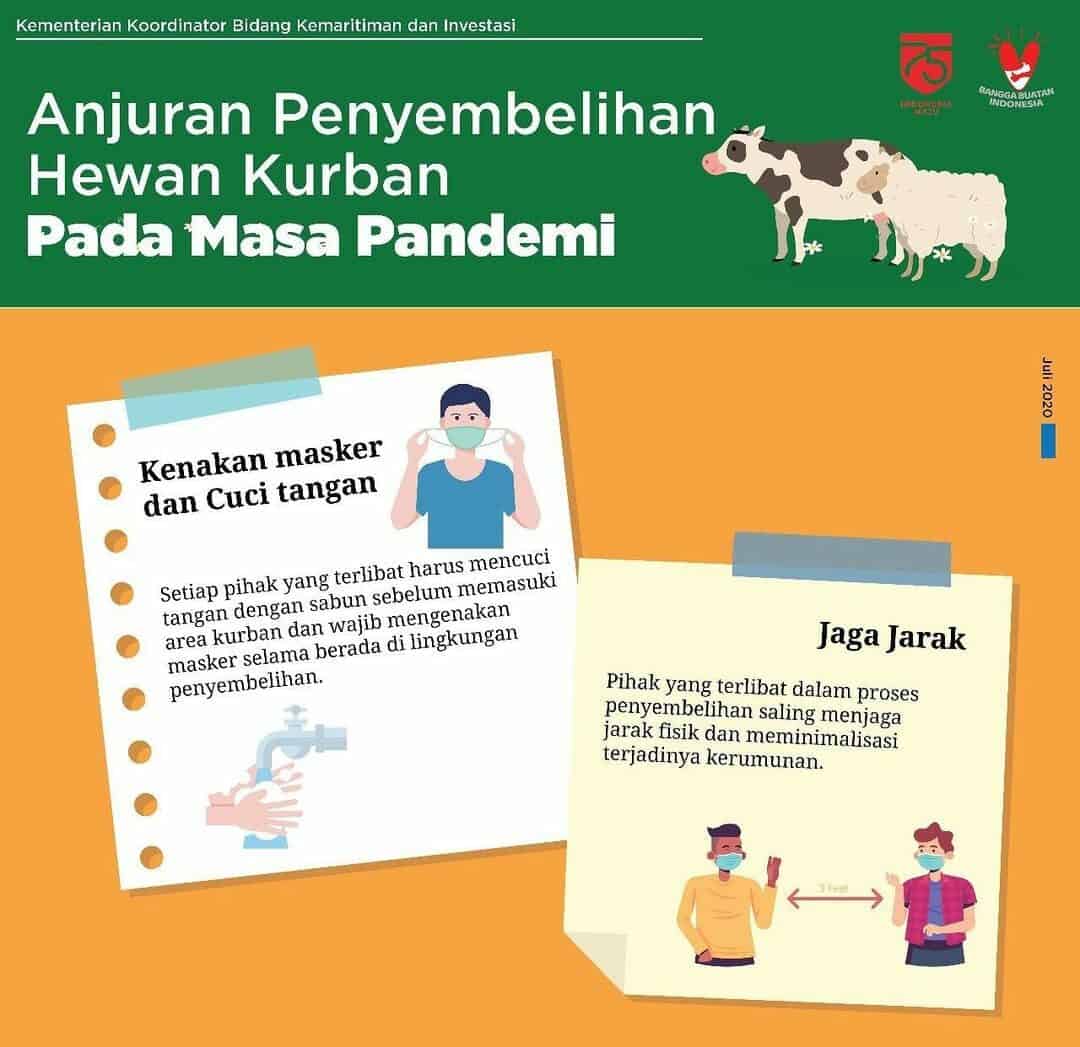 Anjuran Penyembelihan Hewan Kurban Pada Masa Pandemi Konsep Otomatis