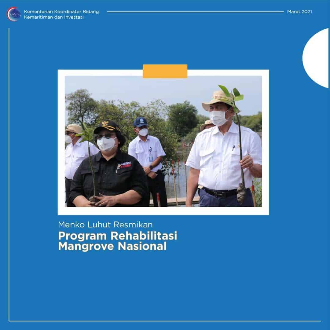 Peresmian Program Rehabilitasi Mangrove Nasional Peresmian Program Rehabilitasi Mangrove Nasional