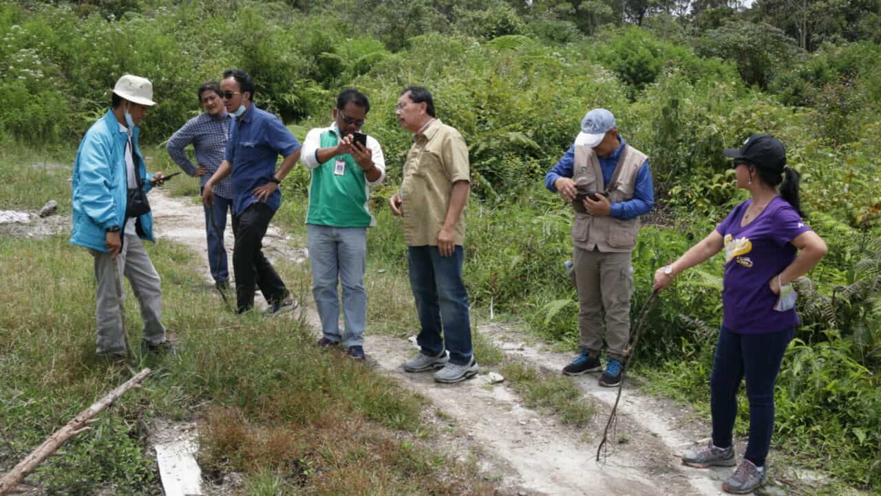 TRAINING ONLINE APLIKASI SURVEY UNTUK KEHUTANAN