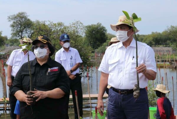 Menko Luhut Resmikan Program Rehabilitasi Mangrove Nasional Menko Luhut Resmikan Program Rehabilitasi Mangrove Nasional