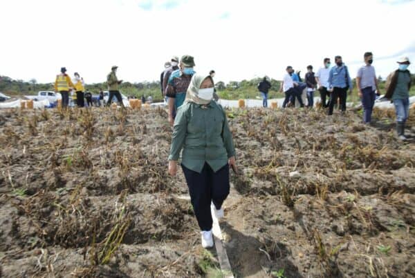 Deputi Menko Marves Tinjau Kemajuan Food Estate Sumatera Utara Serta Pembangunan Jalan Akses Menuju Taman Sains dan Teknologi Herbal WhatsApp Image 2021 07 27 at 11.09.48