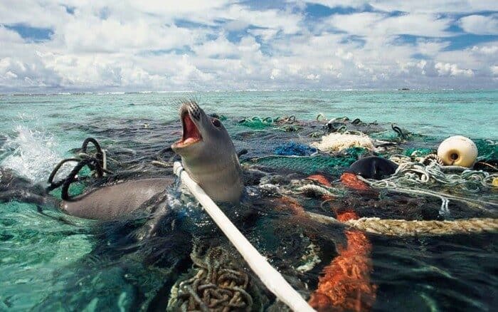 Indonesia Membutuhkan Investasi Sebesar 18 Miliar Dolar untuk Mencapai Nol Sampah Plastik Laut sampai 2040 2ee74b01 b699 4bf1 bc8a 4baefb9c4dc9