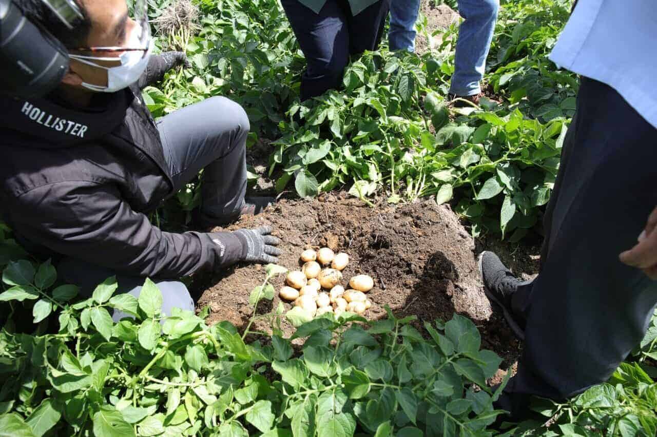 Menko Marves Targetkan 1000 hektar Food Estate Sumatera Utara Rampung Akhir Tahun WhatsApp Image 2021 07 27 at 11.10.54