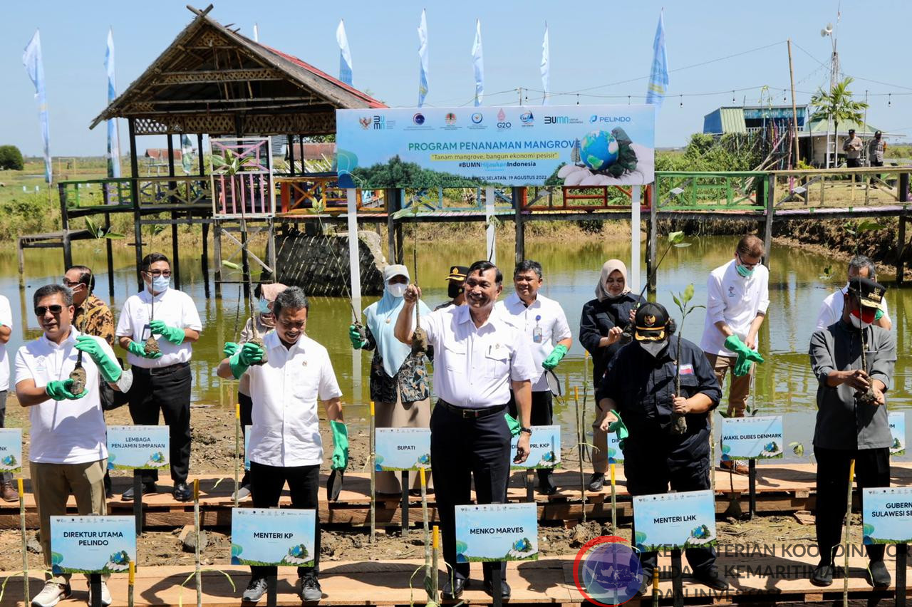 Mampu Serap Emisi Karbon Menko Luhut Ajak Masyarakat Tanam Mangrove