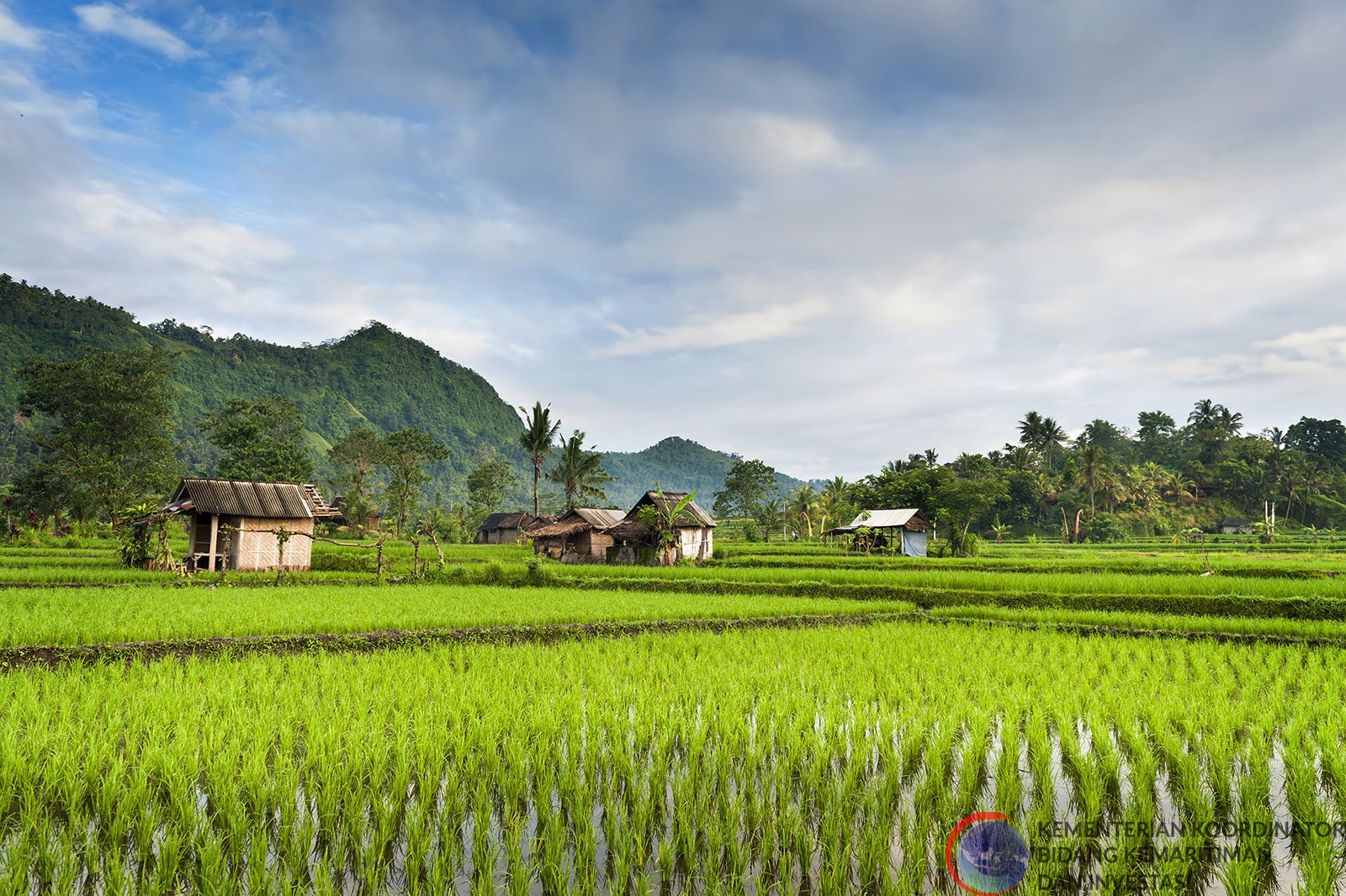 Subak, Sistem Pertanian di Bali Sarat Filosofi, Tradisi Menjaga Alam dan Budaya