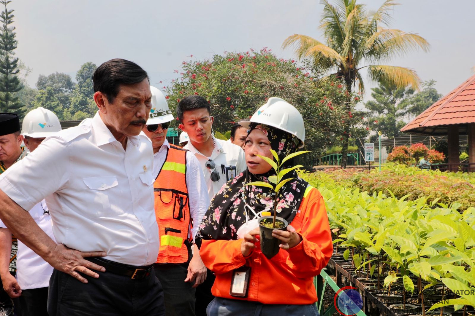 Menko Marves melakukan peninjauan di Nursery Farm PT Vale, Sorowako