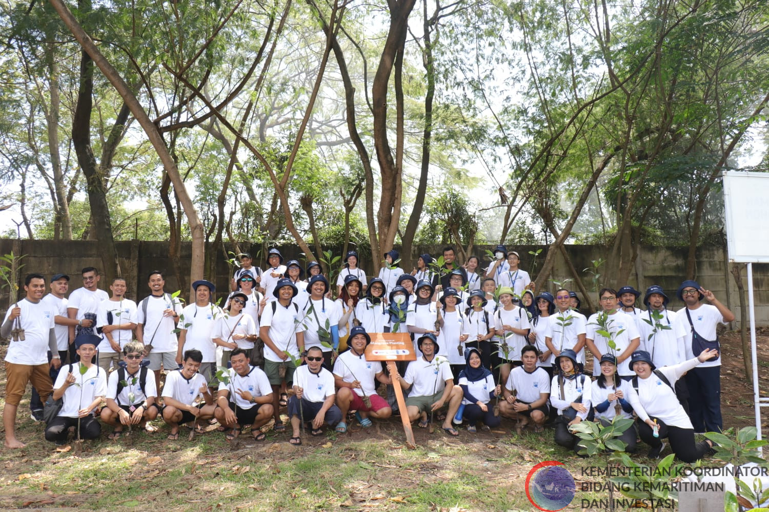 Kemenko Marves Melaksanakan Aksi Penanaman Mangrove dalam Rangkaian Acara Islands Hackathon