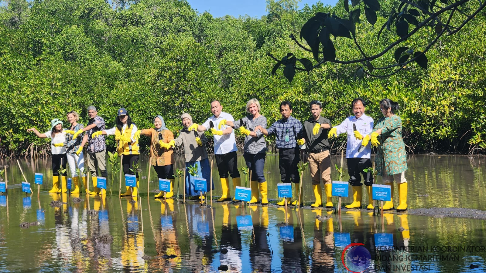 Kemenko Marves, Pantau Kondisi Mangrove Tahura di Bali Bersama Delegasi World Bank Pasca Presidensi G20