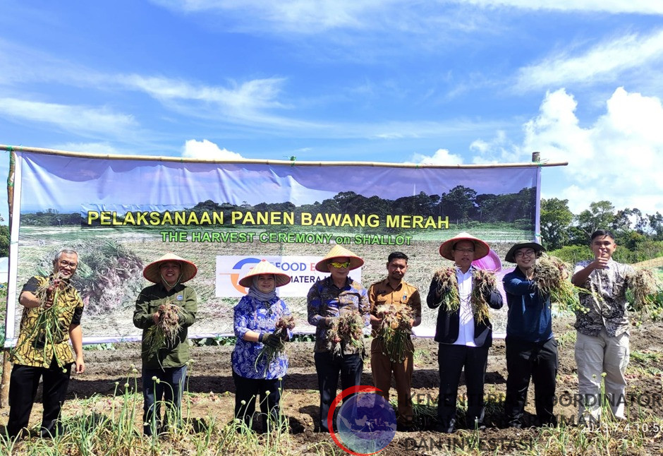 Panen Bawang Merah Pada Lahan Percontohan Food Estate Humbang Hasundutan